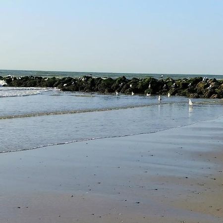 Sunny Bank Westende Zeezicht ミデルケルケ エクステリア 写真