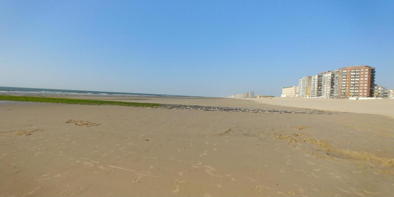 Sunny Bank Westende Zeezicht ミデルケルケ エクステリア 写真