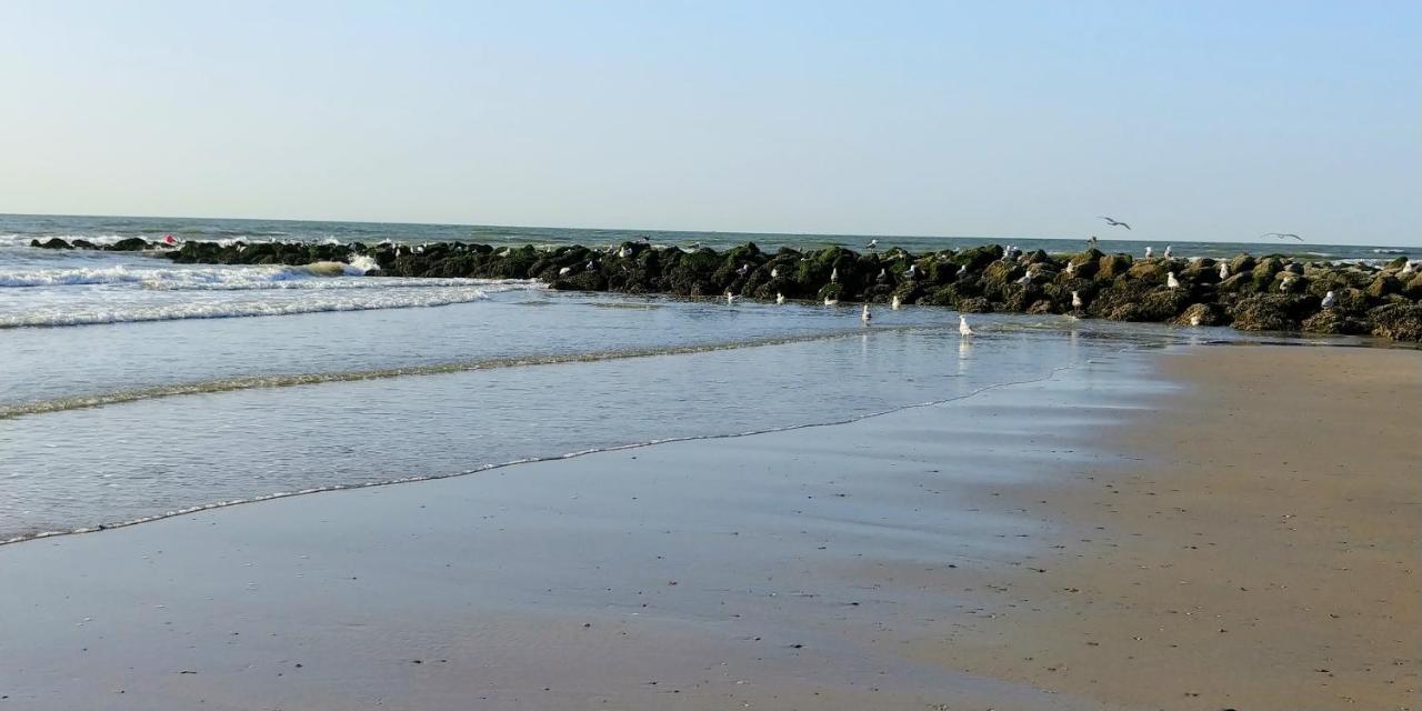 Sunny Bank Westende Zeezicht ミデルケルケ エクステリア 写真